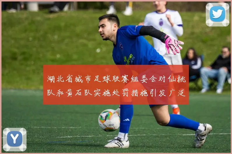 湖北省城市足球联赛组委会对仙桃队和黄石队实施处罚措施引发广泛关注